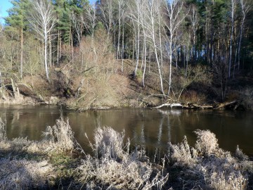 Wiosenne dni kalendarzowej zimy, <p>W.Pogorzelska</p>